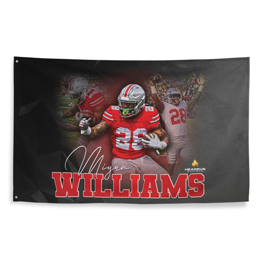 Miyan Williams - Collage - Flag