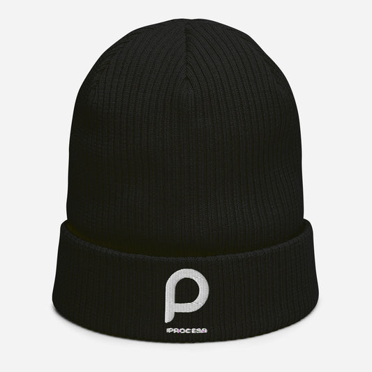 The Process Organic Ribbed Beanie